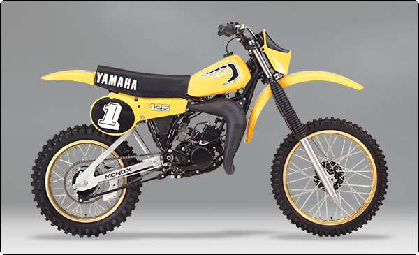 Yamaha YZ125 Review & Specs: Why It's NOT Good For You - Motocross